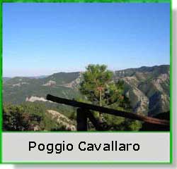 Poggio Cavallaro