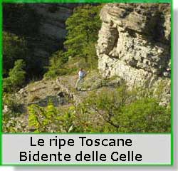 Le ripe Toscane