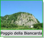 Poggio della Biancarda