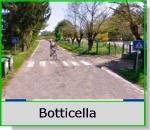Botticella