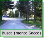 Monte Busca
