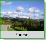 Passo Forche