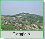 Giaggiolo