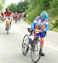 novecolli