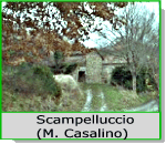 Scampelluccio (M.Casalino)