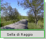sella di raggio