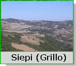 Passo delle Siepi o del Grillo