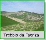 Monte Trebbio da Faenza (Castellaccio)