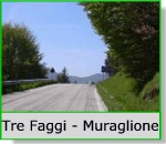 trefaggi